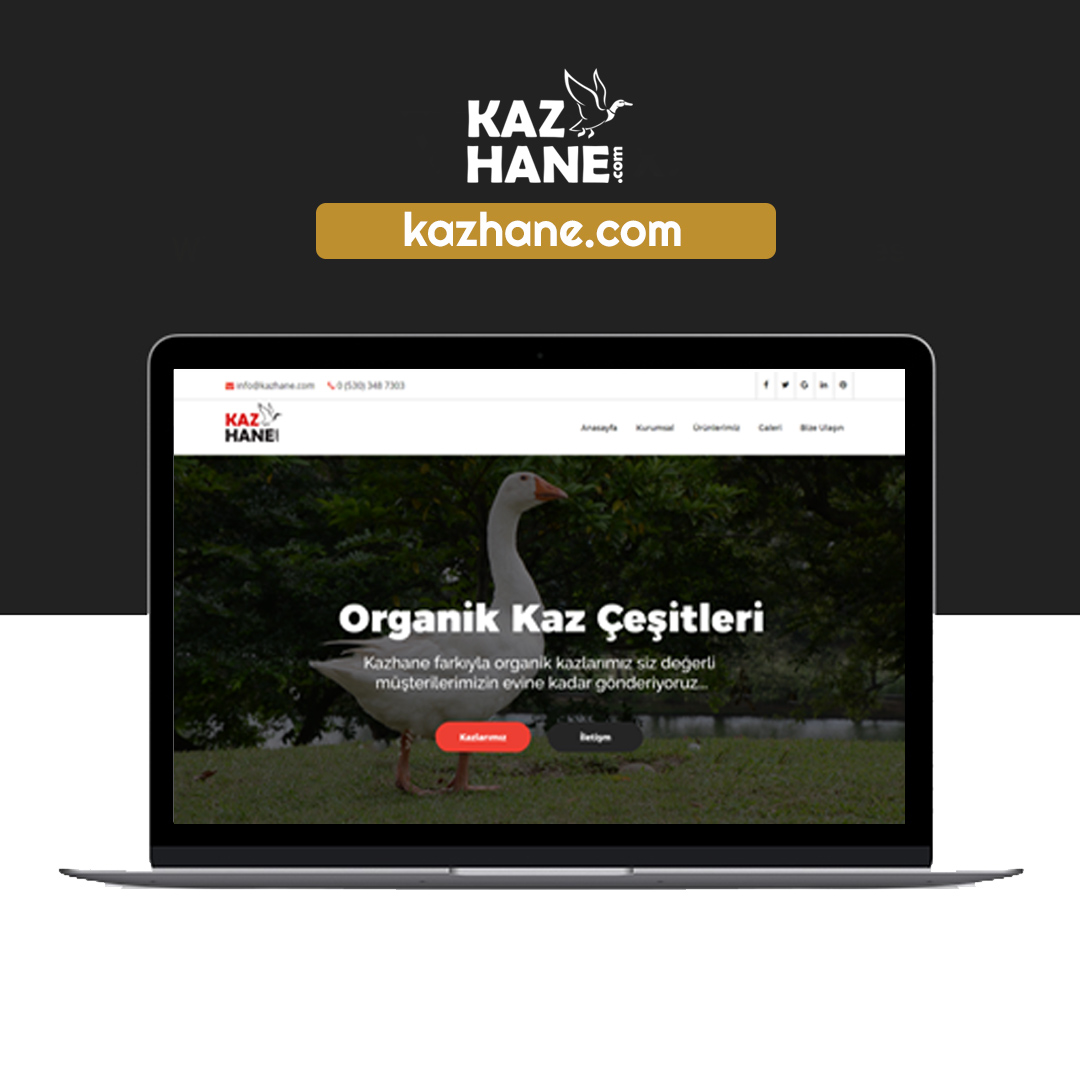 kazhane web site tasarımı